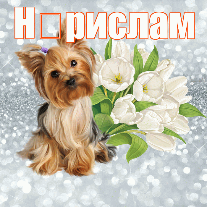 Н рислам! С добрым утром! Красивая открытка !