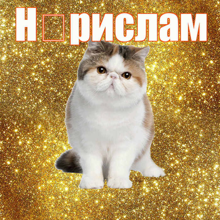 Н рислам! С добрым утром! Красивая открытка !