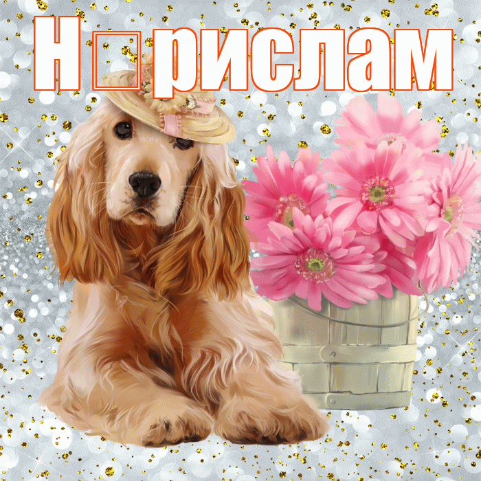 Н рислам! С добрым утром! Красивая открытка !
