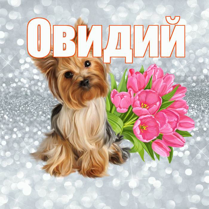 Овидий! С добрым утром! Красивая открытка Овидию!