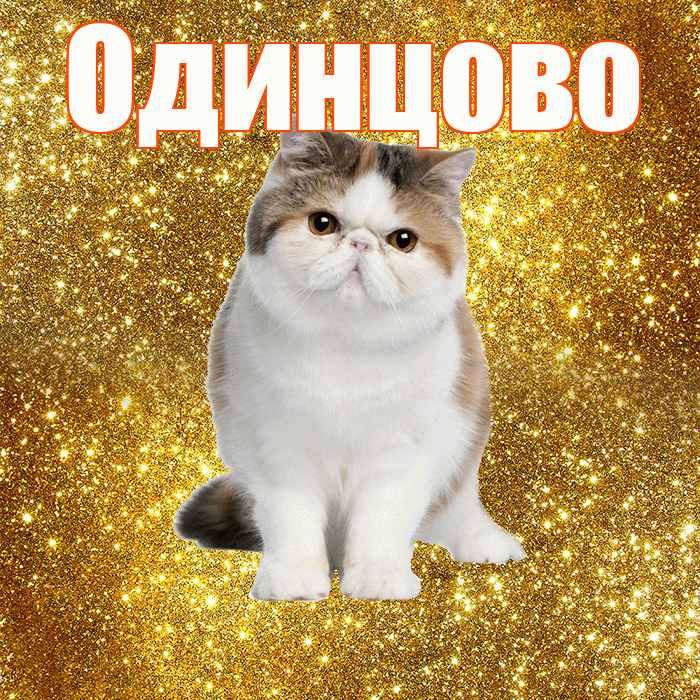 Одинцово! С добрым утром! Красивая открытка Одинцово!