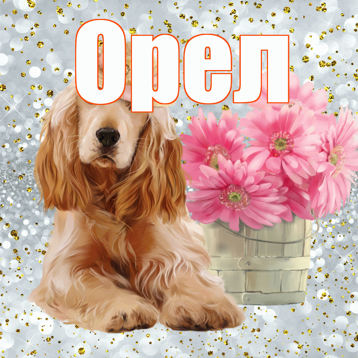 Орел! С добрым утром! Красивая открытка Орелу!