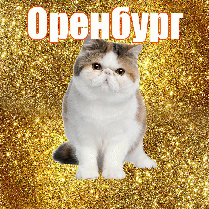 Оренбург! С добрым утром! Красивая открытка Оренбургу!