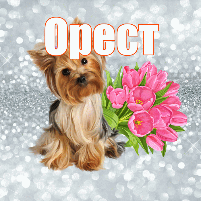 Орест! С добрым утром! Красивая открытка Оресту!