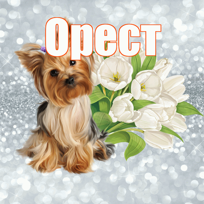 Орест! С добрым утром! Красивая открытка Оресту!