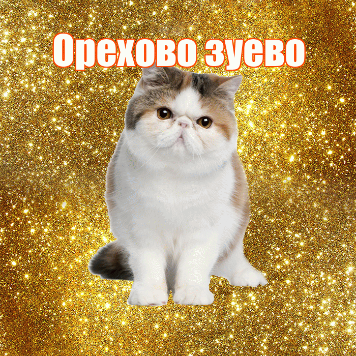 Орехово зуево! С добрым утром! Красивая открытка !