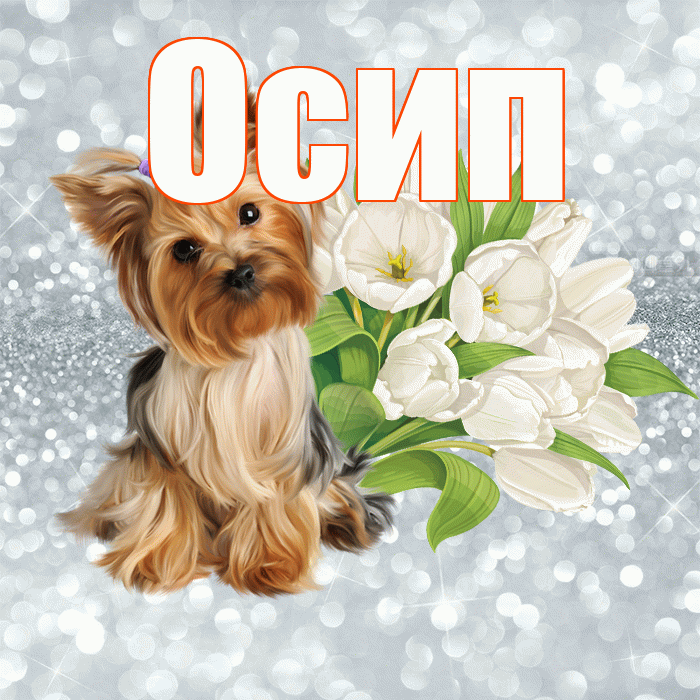 Осип! С добрым утром! Красивая открытка Осипу!