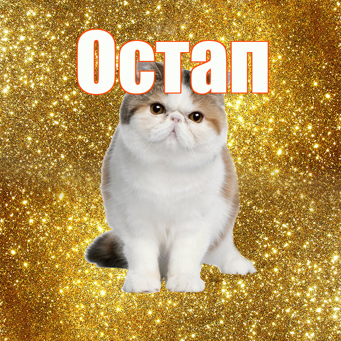 Остап! С добрым утром! Красивая открытка Остапу!