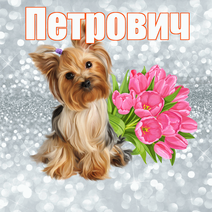 Петрович! С добрым утром! Красивая открытка Петровичу!