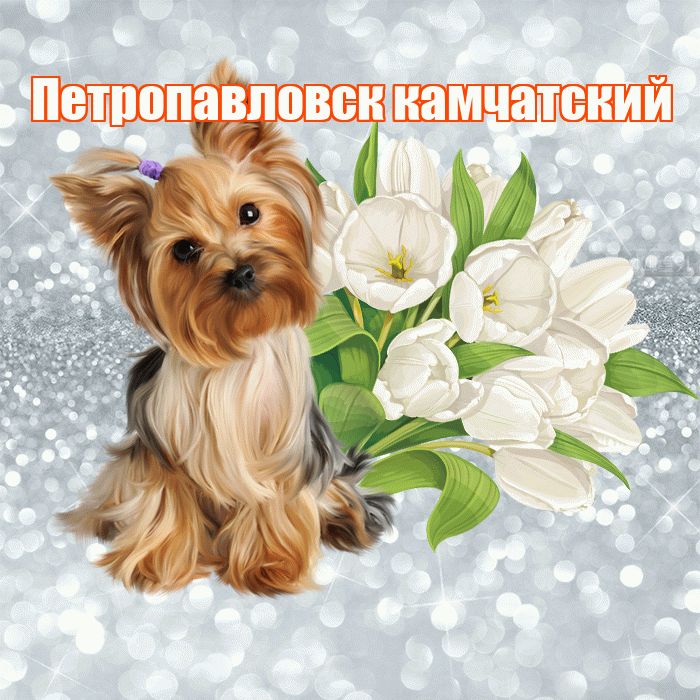 Петропавловск камчатский! С добрым утром! Красивая открытка Петропавловску!
