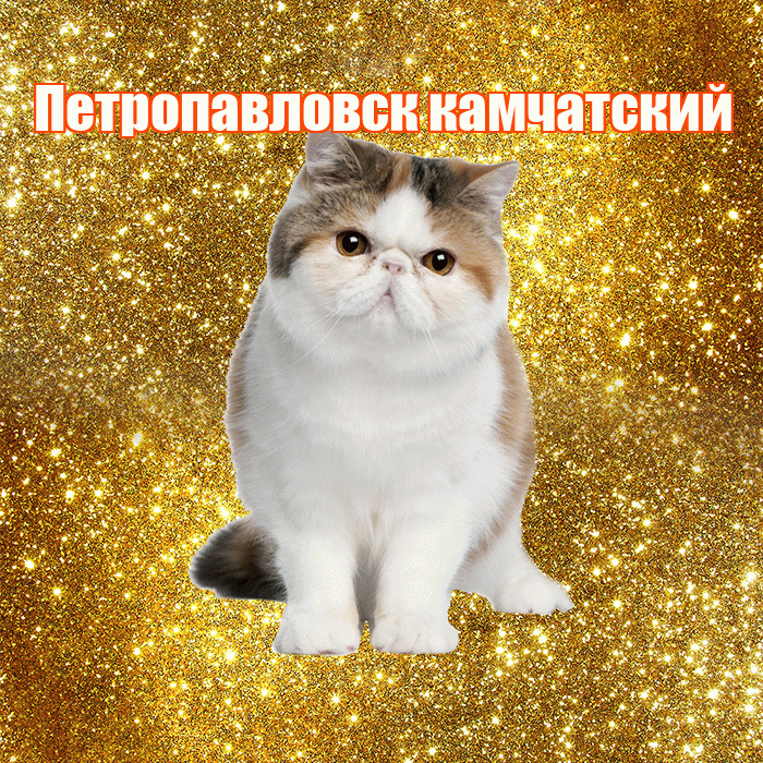 Петропавловск камчатский! С добрым утром! Красивая открытка Петропавловску!