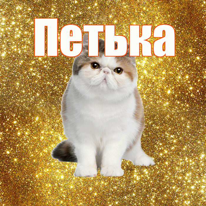 Петька! С добрым утром! Красивая открытка !