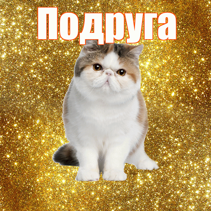 Подруга! С добрым утром! Красивая открытка Подруге!