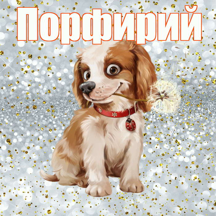 Порфирий! С добрым утром! Красивая открытка Порфирию!