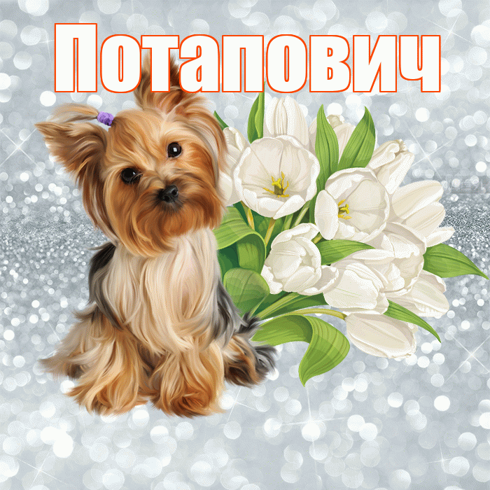 Потапович! С добрым утром! Красивая открытка Потаповичу!