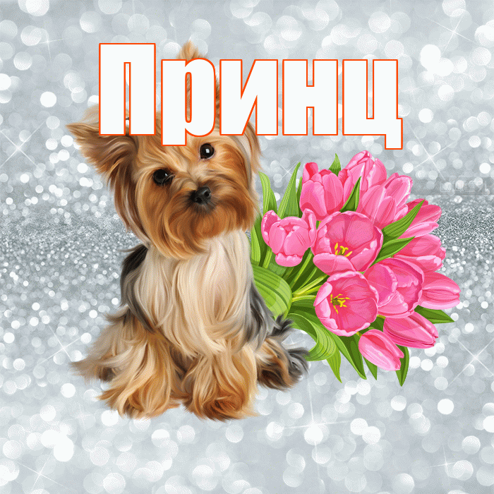 Принц! С добрым утром! Красивая открытка Принцу!