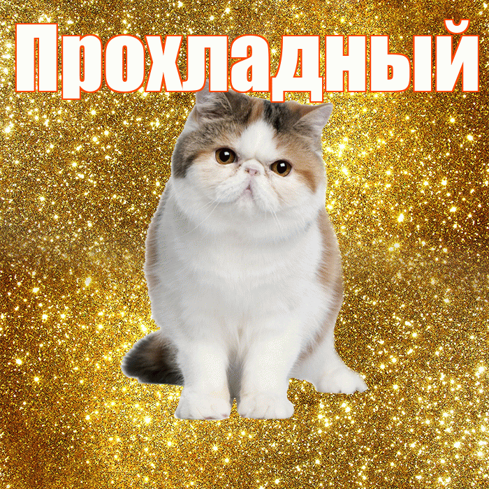 Прохладный! С добрым утром! Красивая открытка Прохладныю!