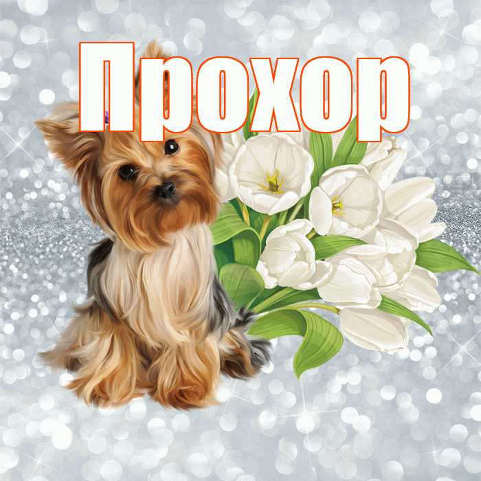 Прохор! С добрым утром! Красивая открытка Прохору!