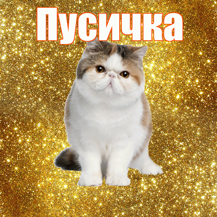 Пусичка! С добрым утром! Красивая открытка Пусичке!