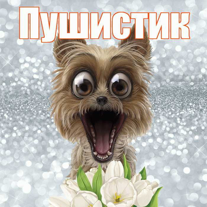 Пушистик! С добрым утром! Красивая открытка Пушистику!
