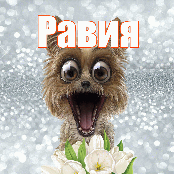 Равия! С добрым утром! Красивая открытка Равии!