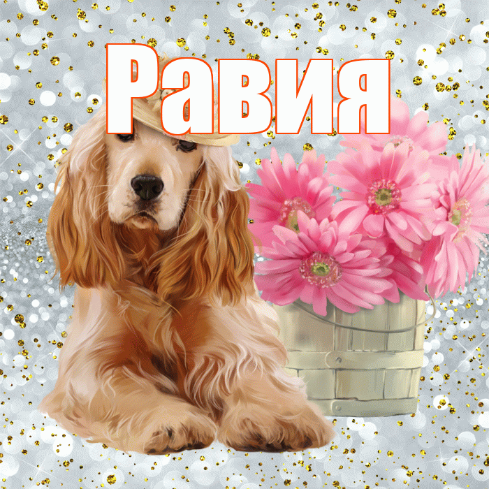 Равия! С добрым утром! Красивая открытка Равии!