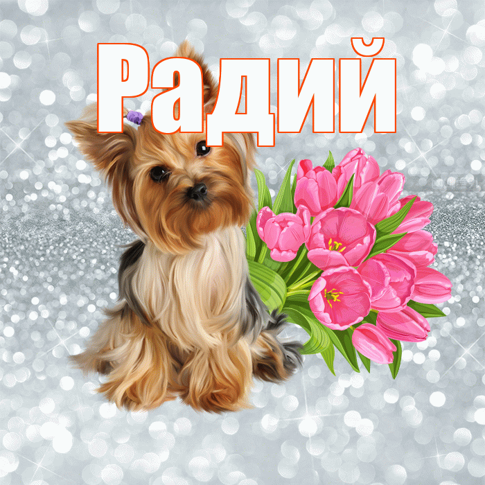 Радий! С добрым утром! Красивая открытка Радию!