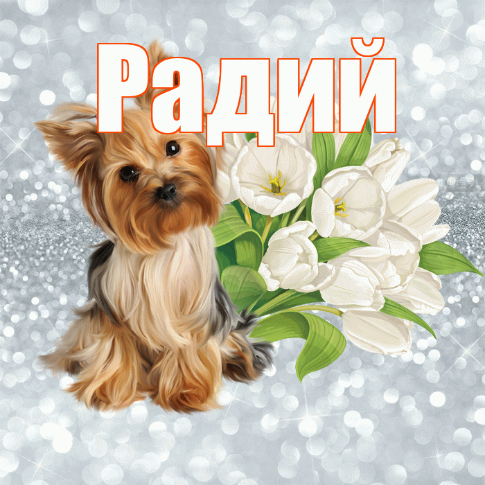 Радий! С добрым утром! Красивая открытка Радию!