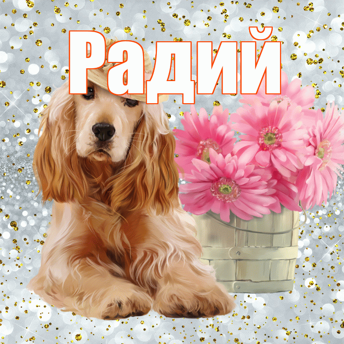 Радий! С добрым утром! Красивая открытка Радию!