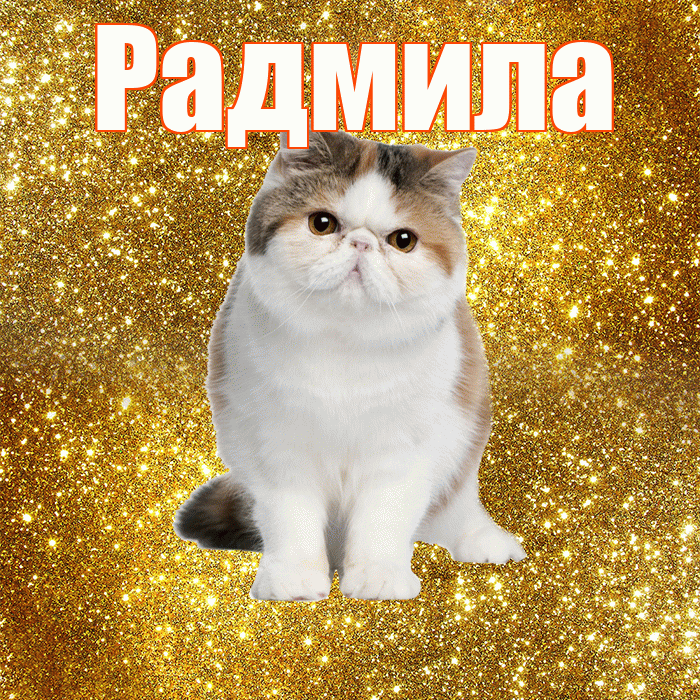 Радмила! С добрым утром! Красивая открытка Радмиле!