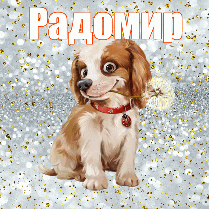 Радомир! С добрым утром! Красивая открытка Радомиру!