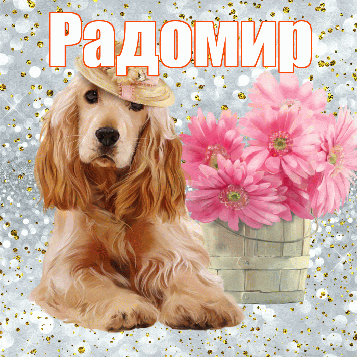 Радомир! С добрым утром! Красивая открытка Радомиру!