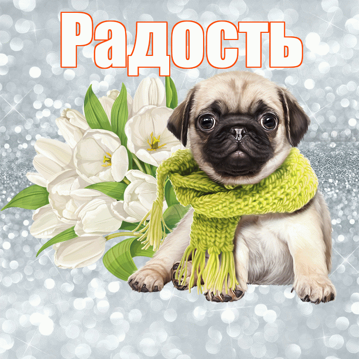 Радость! С добрым утром! Красивая открытка Радости!