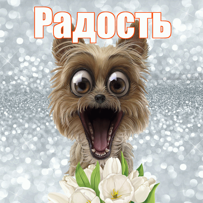 Радость! С добрым утром! Красивая открытка Радости!