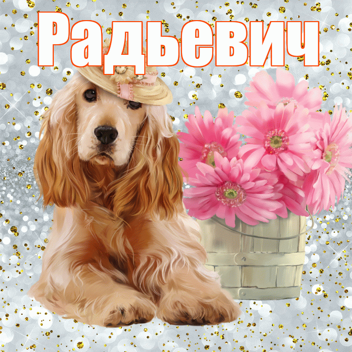 Радьевич! С добрым утром! Красивая открытка Радьевичу!