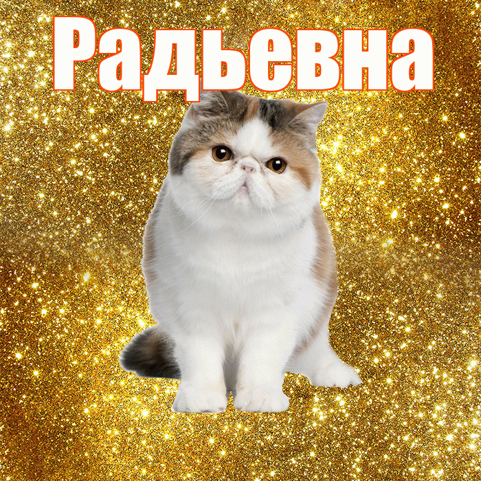 Радьевна! С добрым утром! Красивая открытка Радьевне!