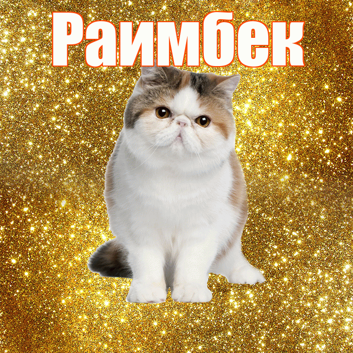 Раимбек! С добрым утром! Красивая открытка Раимбеку!