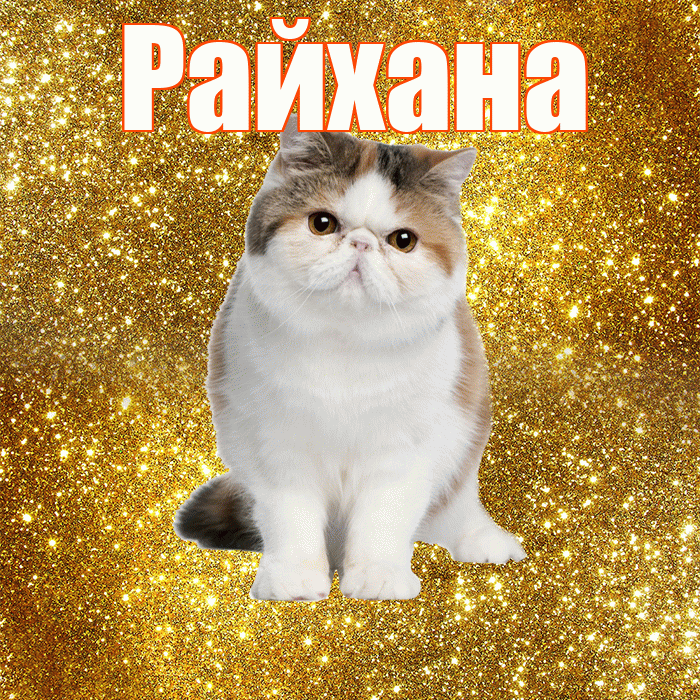 Райхана! С добрым утром! Красивая открытка Райхане!
