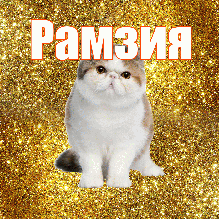 Рамзия! С добрым утром! Красивая открытка Рамзии!