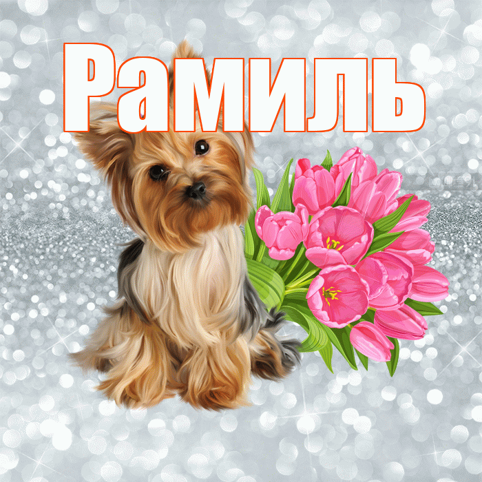 Рамиль! С добрым утром! Красивая открытка Рамилю!
