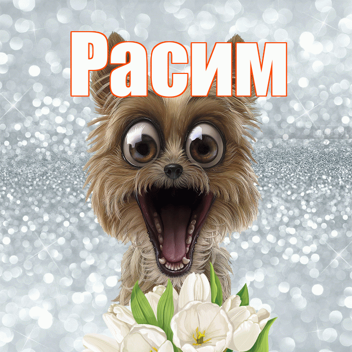 Расим! С добрым утром! Красивая открытка Расиму!