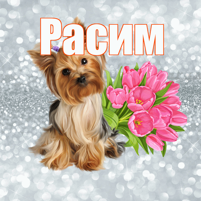 Расим! С добрым утром! Красивая открытка Расиму!
