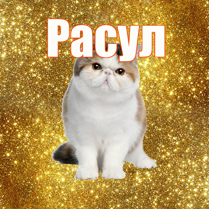 Расул! С добрым утром! Красивая открытка Расулу!