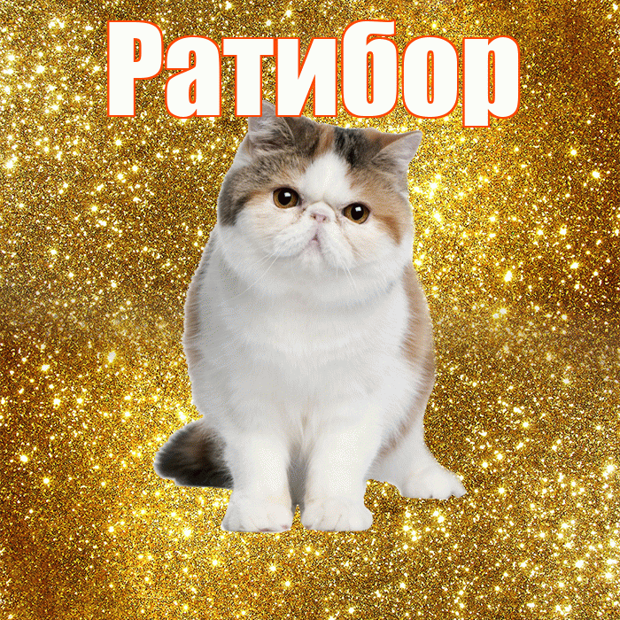 Ратибор! С добрым утром! Красивая открытка Ратибору!
