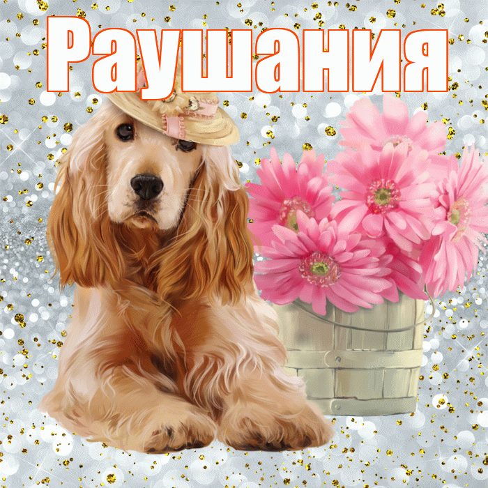Раушания! С добрым утром! Красивая открытка Раушании!