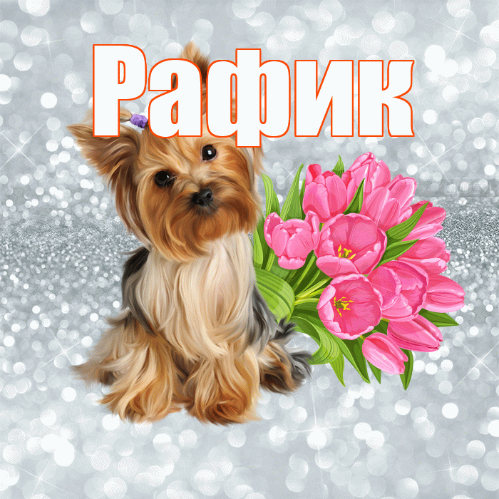 Рафик! С добрым утром! Красивая открытка Рафику!