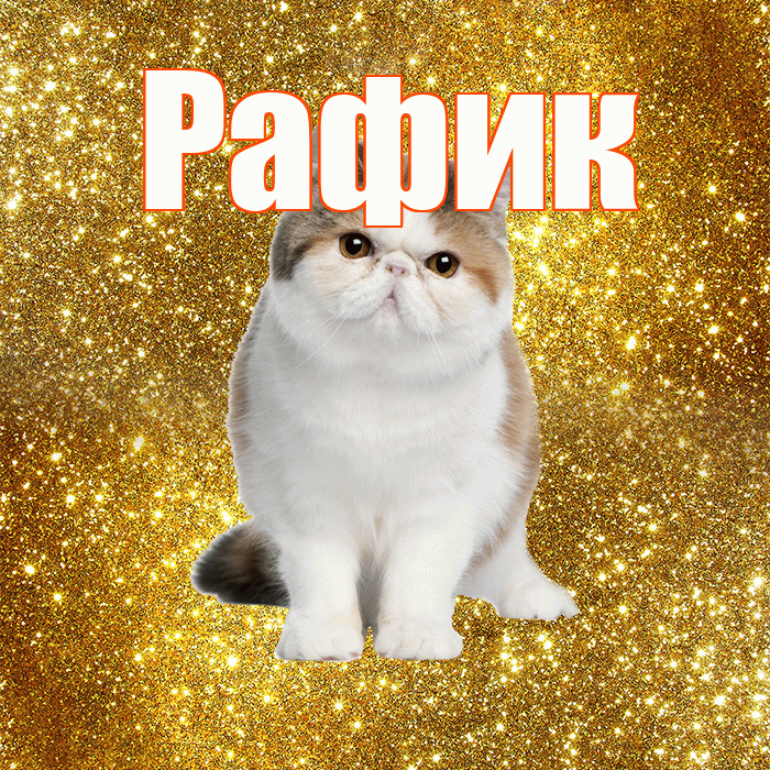 Рафик! С добрым утром! Красивая открытка Рафику!