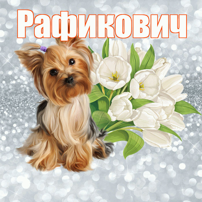 Рафикович! С добрым утром! Красивая открытка Рафиковичу!
