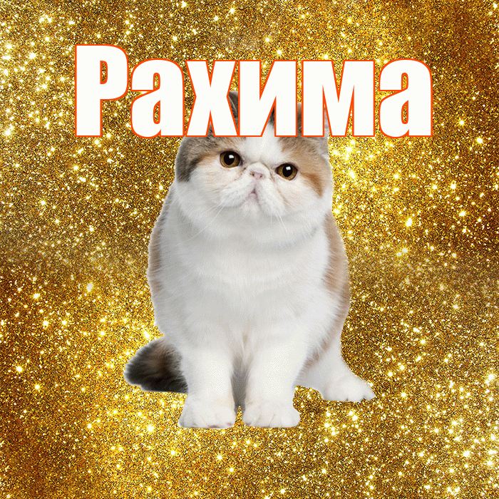 Рахима! С добрым утром! Красивая открытка Рахиме!