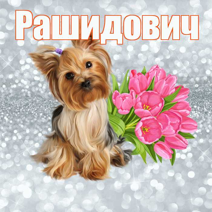 Рашидович! С добрым утром! Красивая открытка Рашидовичу!